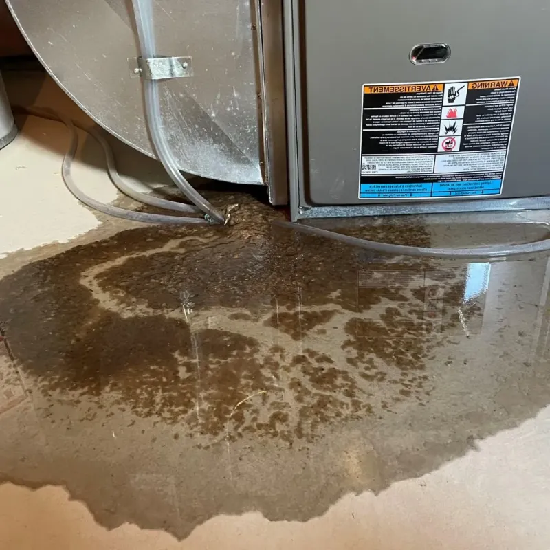 Pipe Burst and Leak Restoration in Chevy Chase Heights, PA